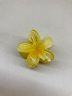 Petites pinces barettes à cheveux colorées en forme de fleurs de tiaré