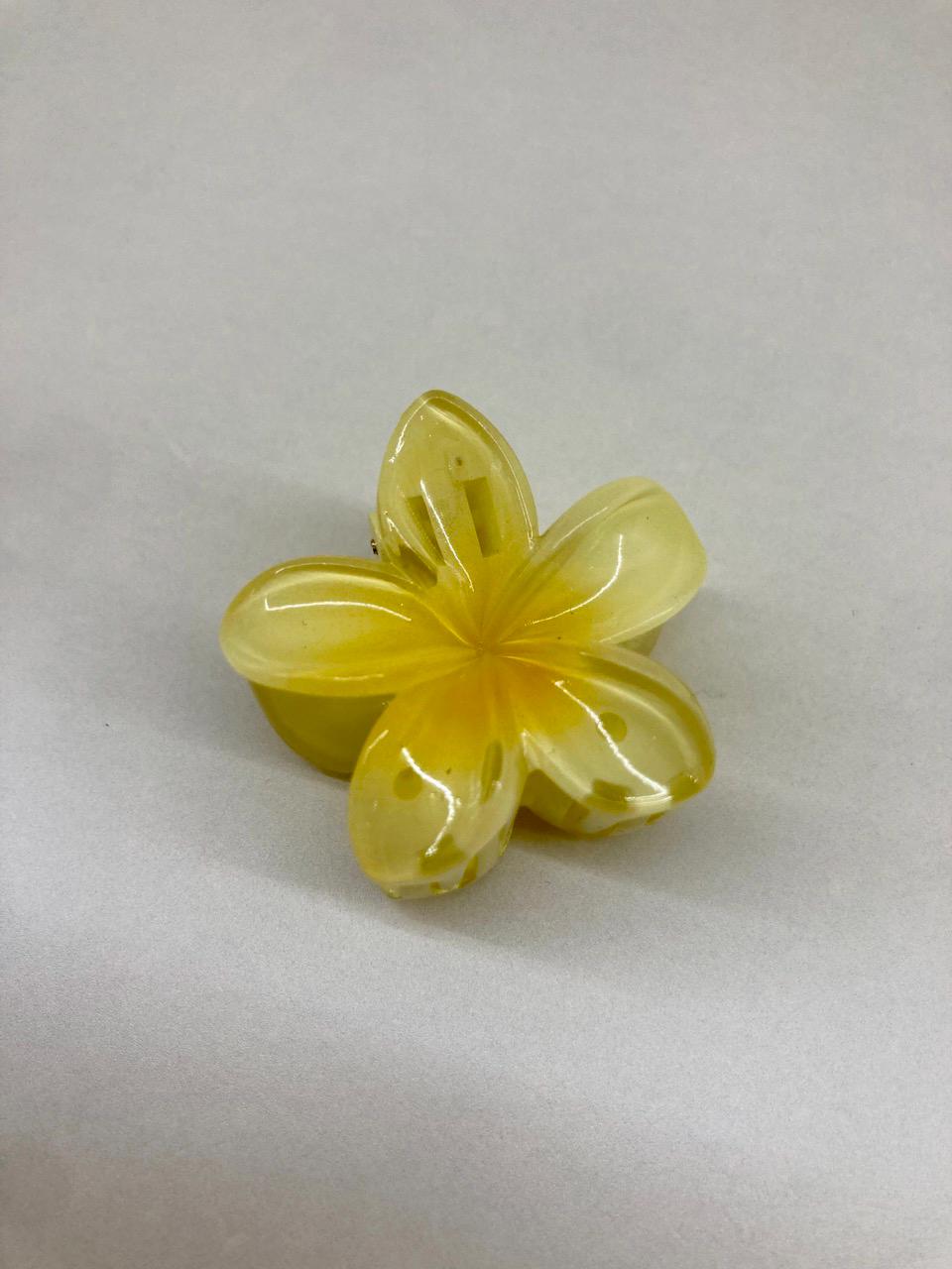 Petites pinces barettes à cheveux colorées en forme de fleurs de tiaré