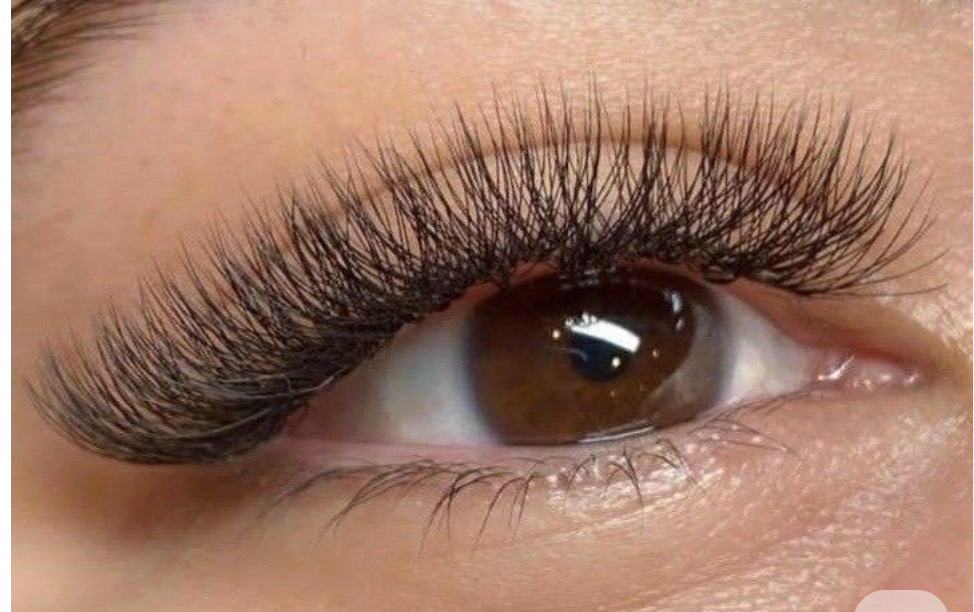 Participation Modèle Formation